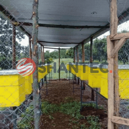ShantecPro® Langstroth Bee Hive